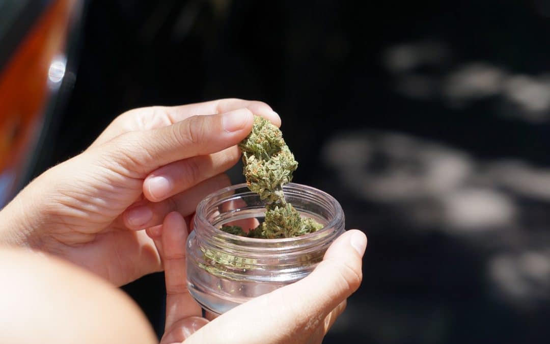 Marijuana Use Penalties In Colorado