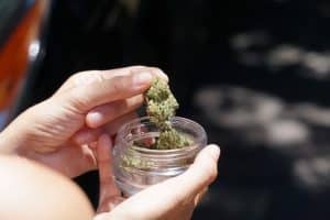 Marijuana Use Penalties